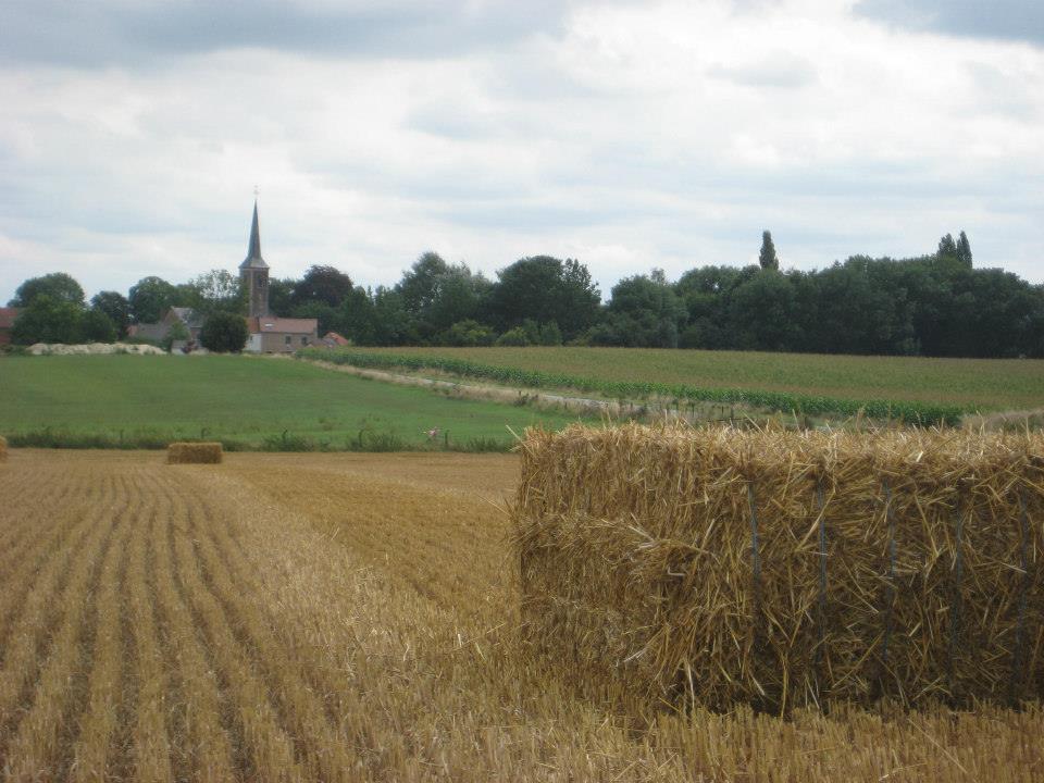 1001957_10200925657316363_258267711_n