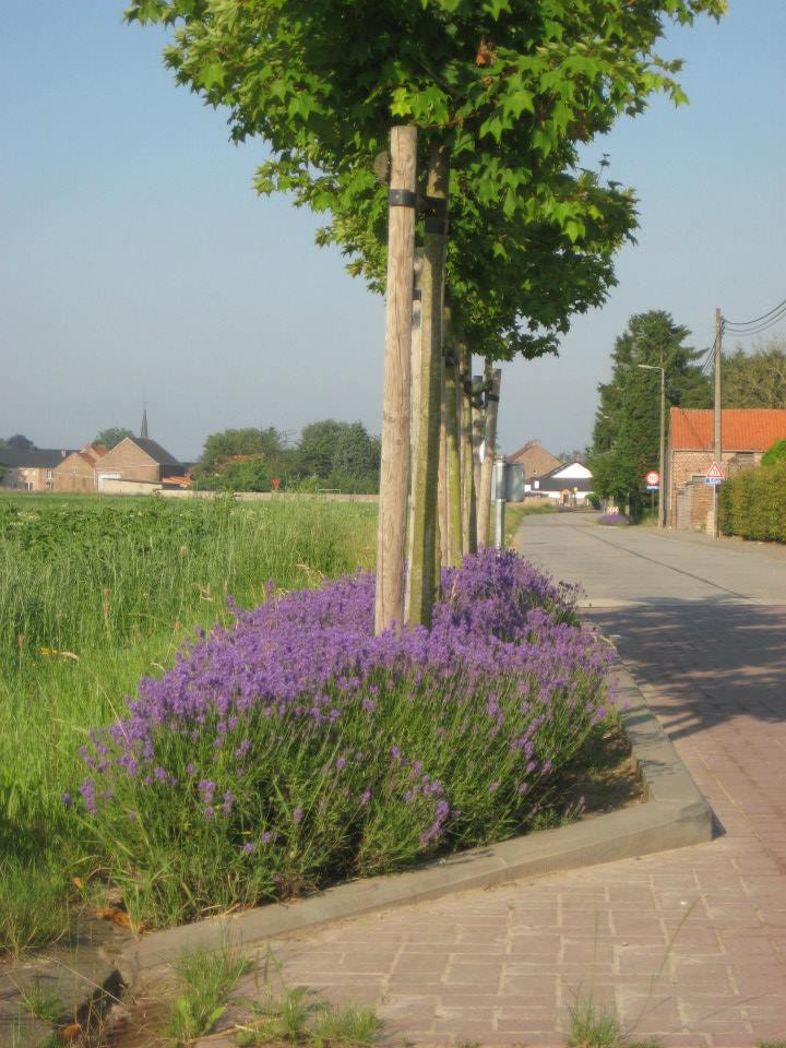 1005425_10200684259401566_674623072_n