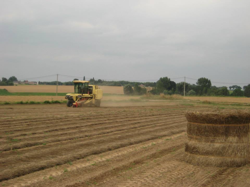 1240303_10200987231855688_633543205_n