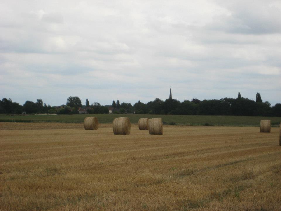 13574_10200925666556594_767599070_n