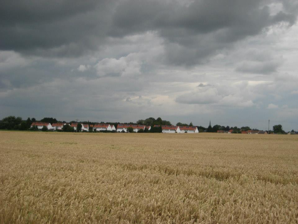 934659_10200814037765944_336514046_n