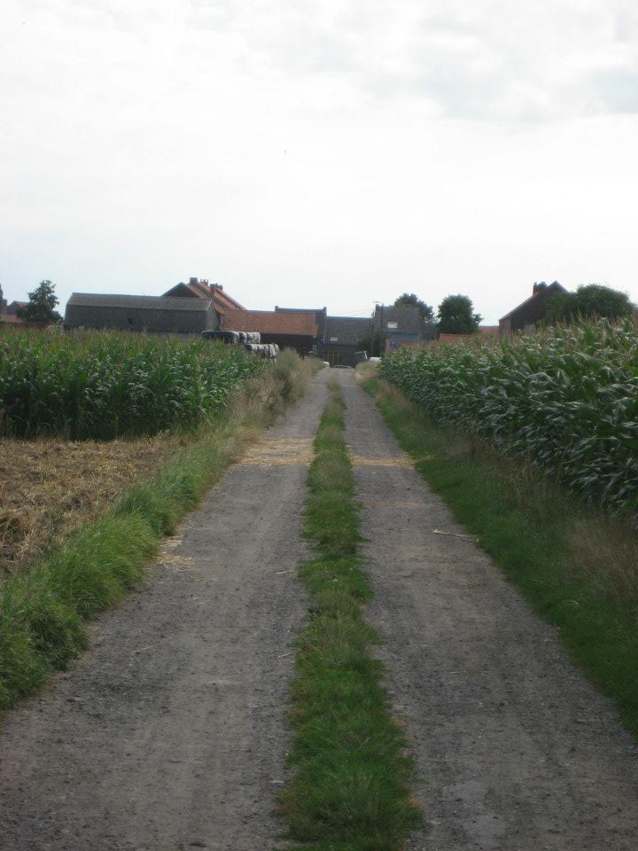 969386_10200886440135958_1766772013_n