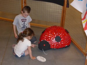 La belle coccinelle