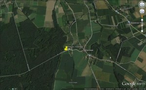 locatie feest in het bos