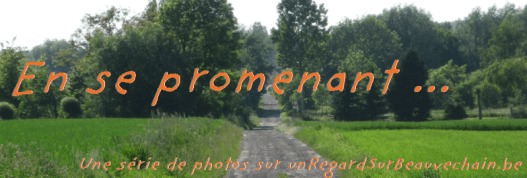 entete en se promenant3