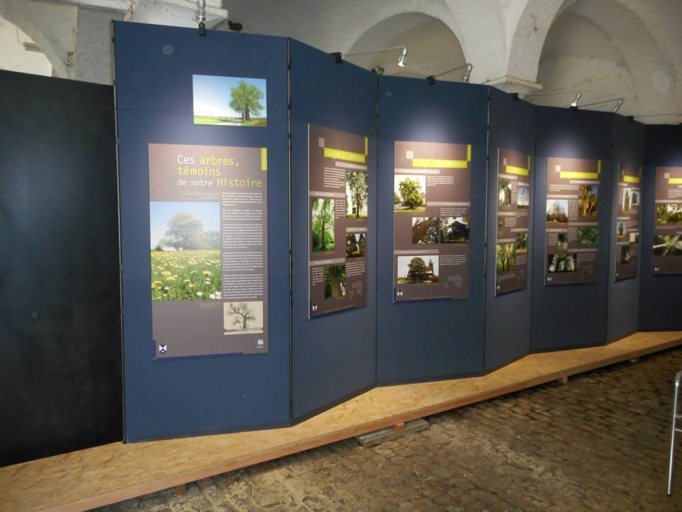 L'Exposition "Ces arbres témoins de notre Histoire". Photo Luc Jandrain