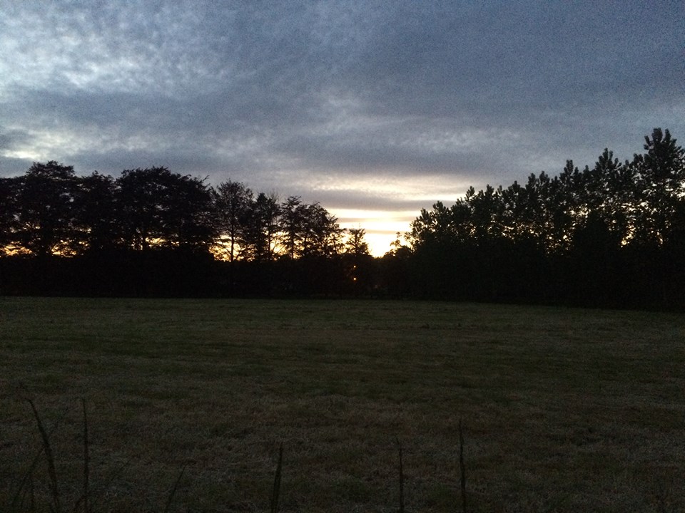 11258003_10152912704827607_5216992049915967021_n