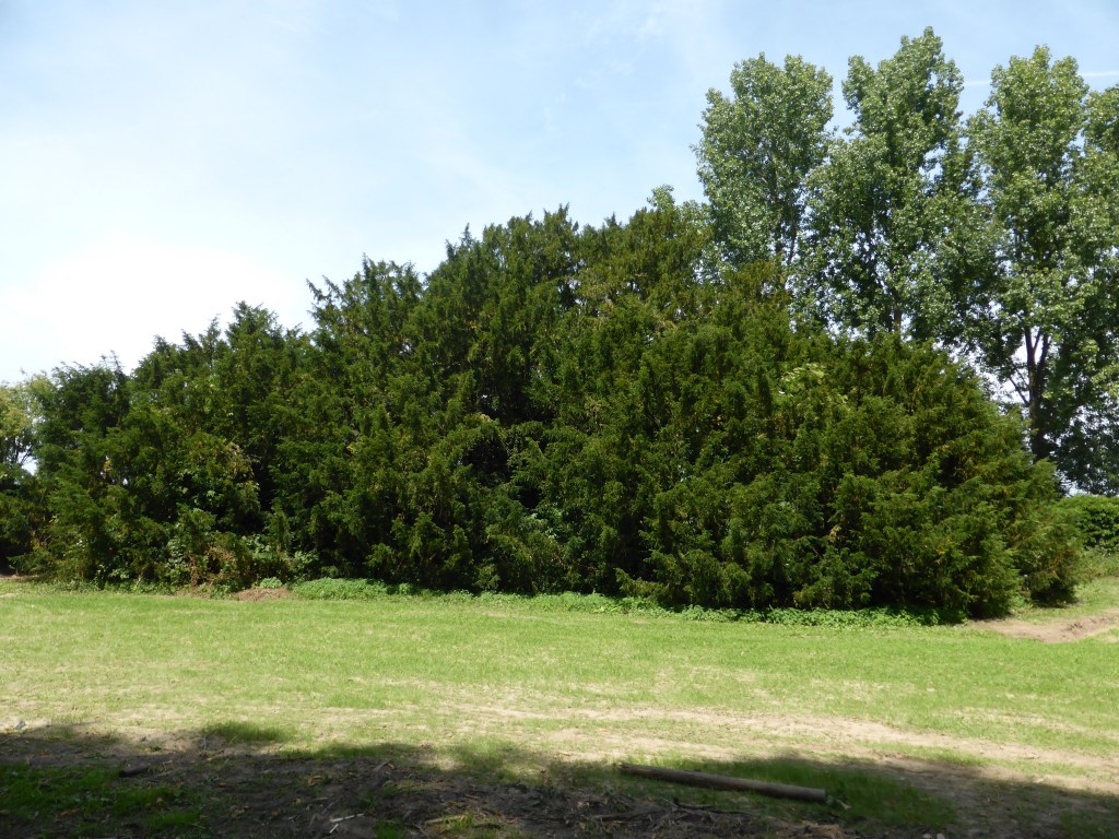 L'if vu de l'extérieur ...