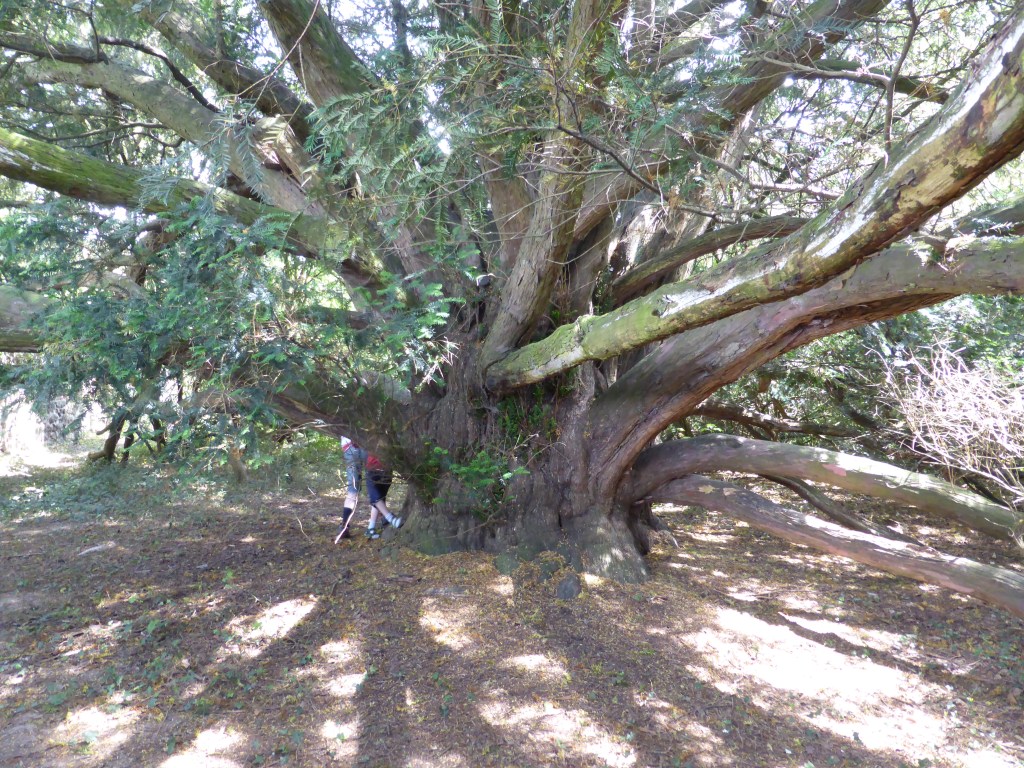 ... et de l'intérieur!