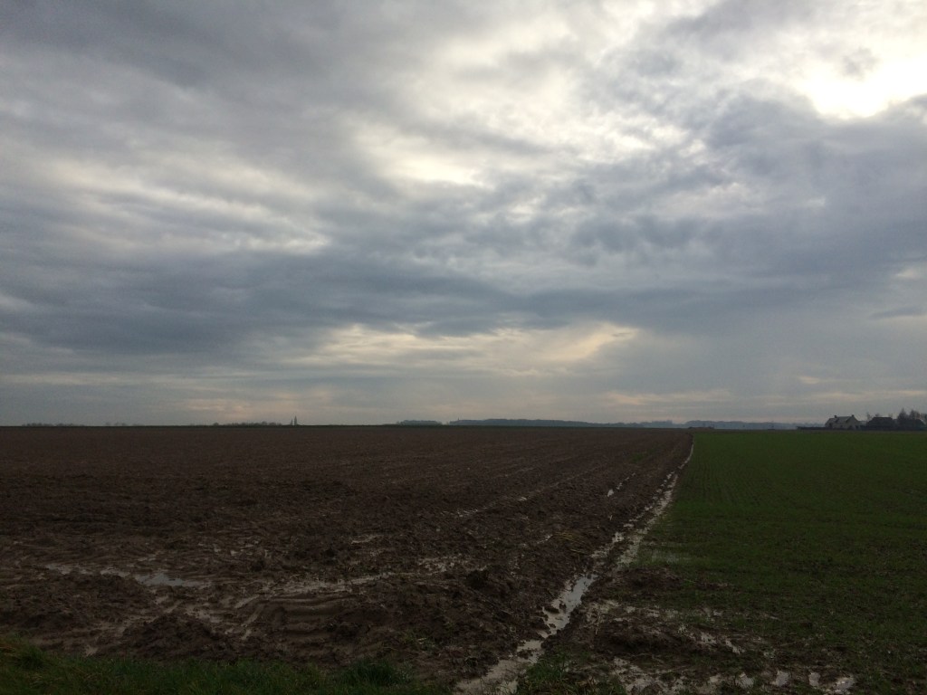 20151215_123446422_iOS