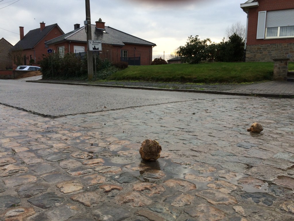 20151215_130451253_iOS