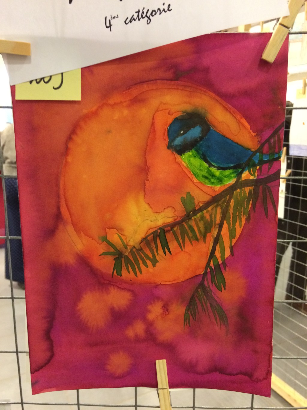 « Dessine-moi un oiseau » : 8ème concours de dessin sur le thème de&nbsp;l’environnement