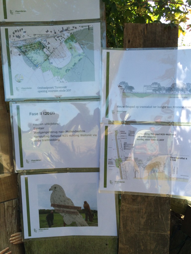 Les plans comme exposé lors du Forestival - Feest in het Bos