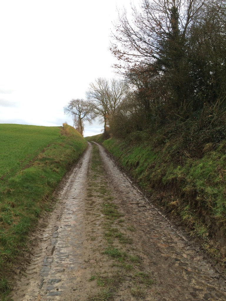 20160102_140853479_ios