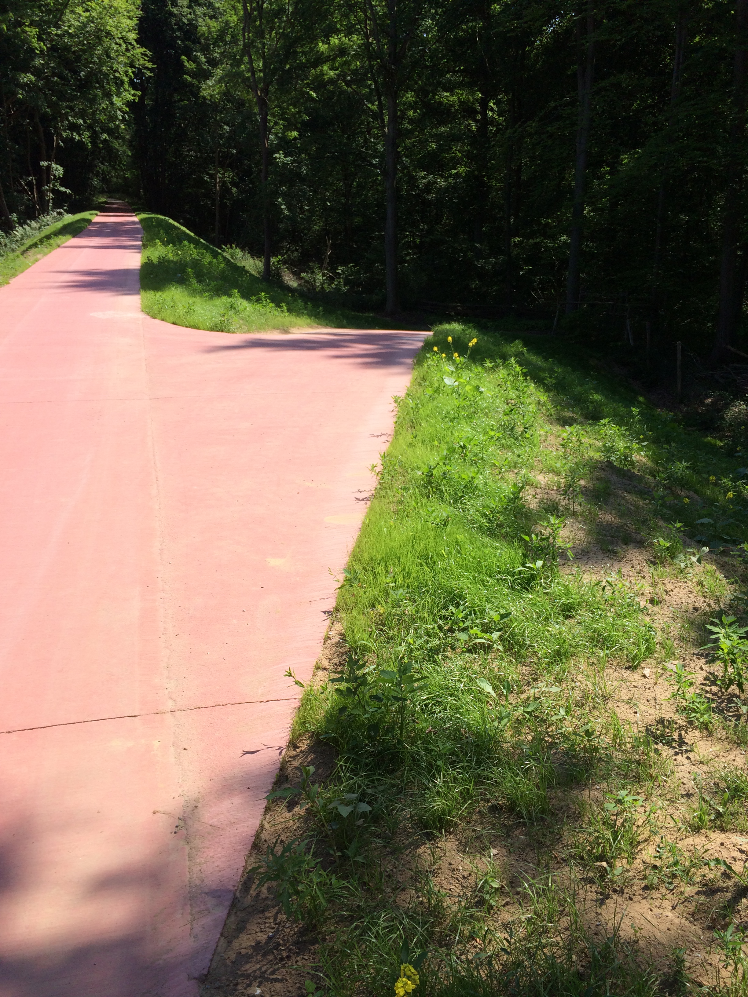 20170614_140159563_iOS