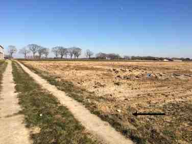 20180225_135948689_iOS