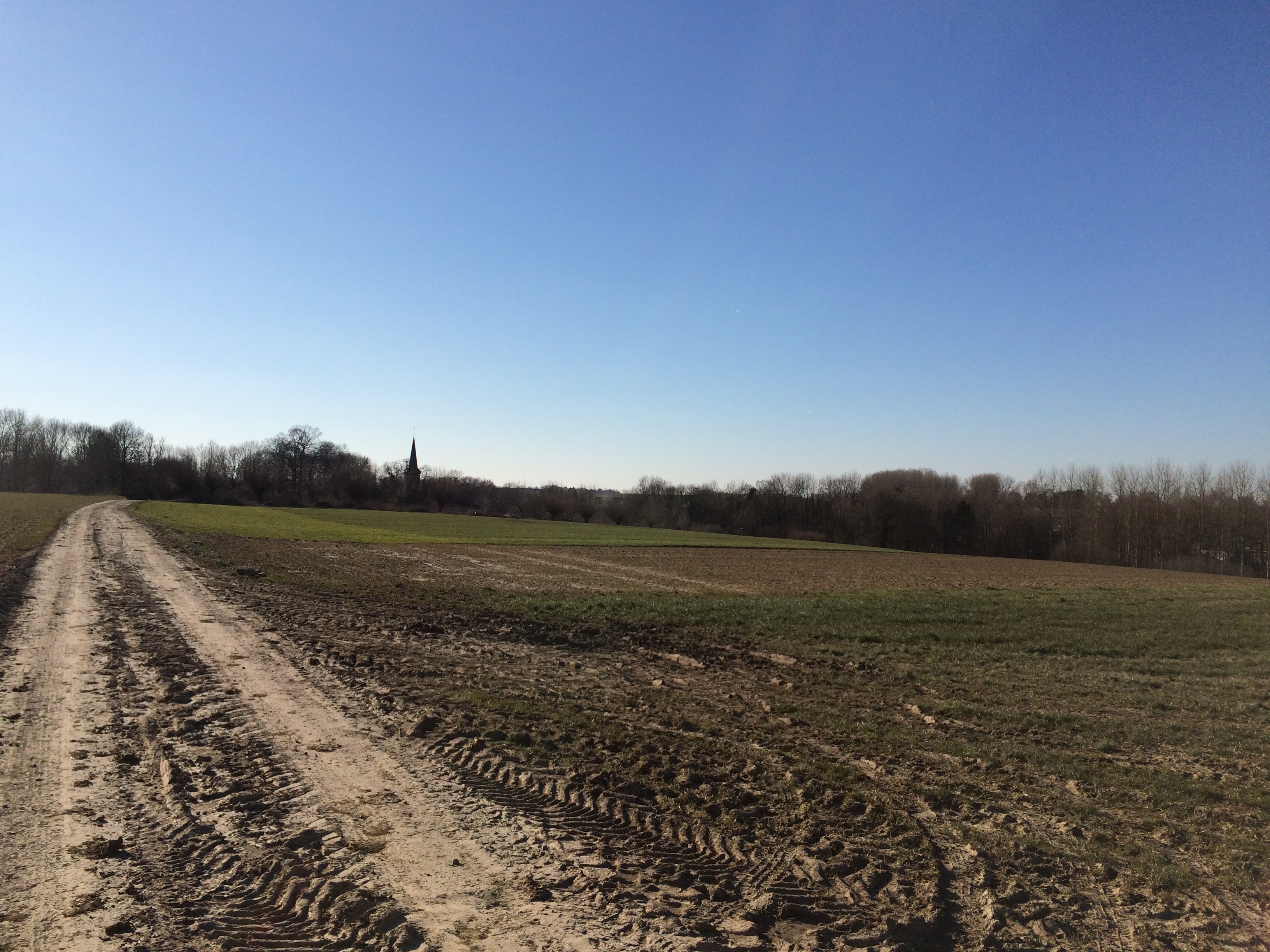 20180225_141506223_iOS